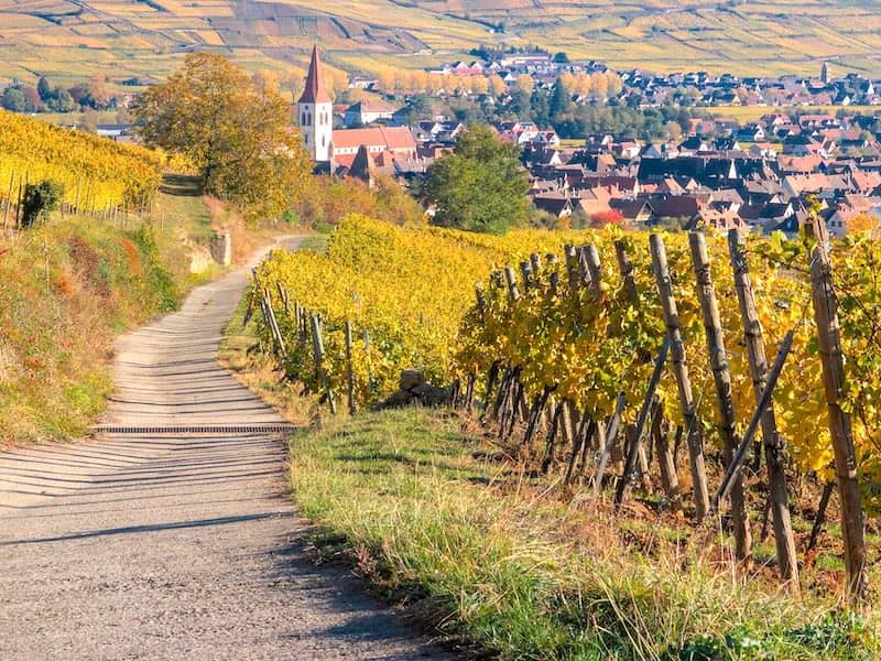 Village viticole d'Ammerschwihr sur la route des vins d'Alsace, France