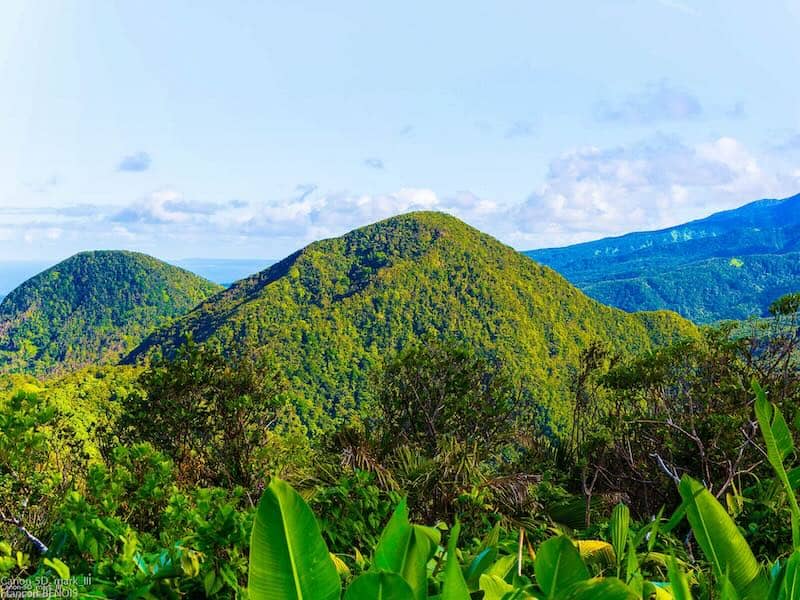 Paysage de montagne et forêt tropicale en Guadeloupe