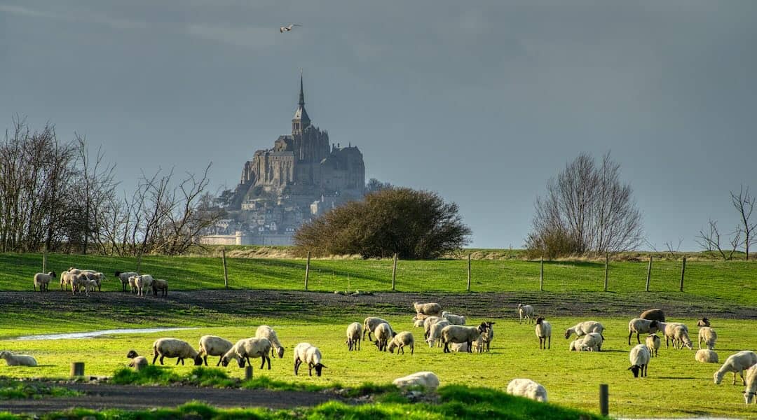 Paysage de Normandie avec le Mont Saint-Michel, France