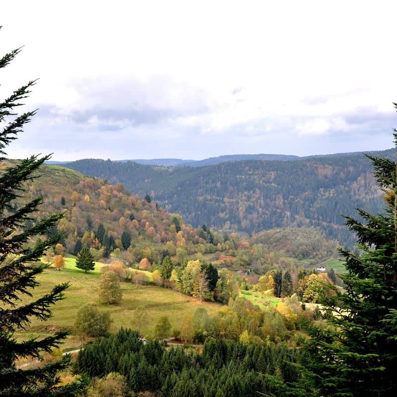 Paysage des Vosges dans le département du Grand Est