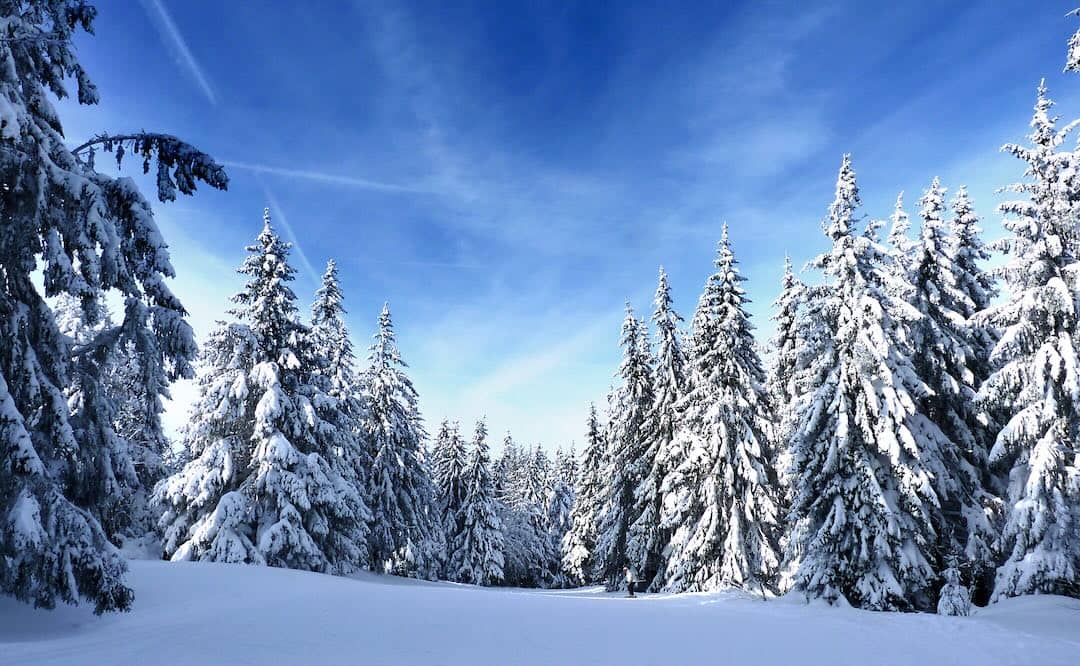 Paysage forêt des Vosges sous la neige (Grand Est)