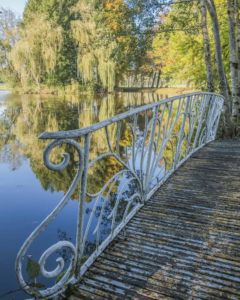 Etang de La Dombes dans l'Ain