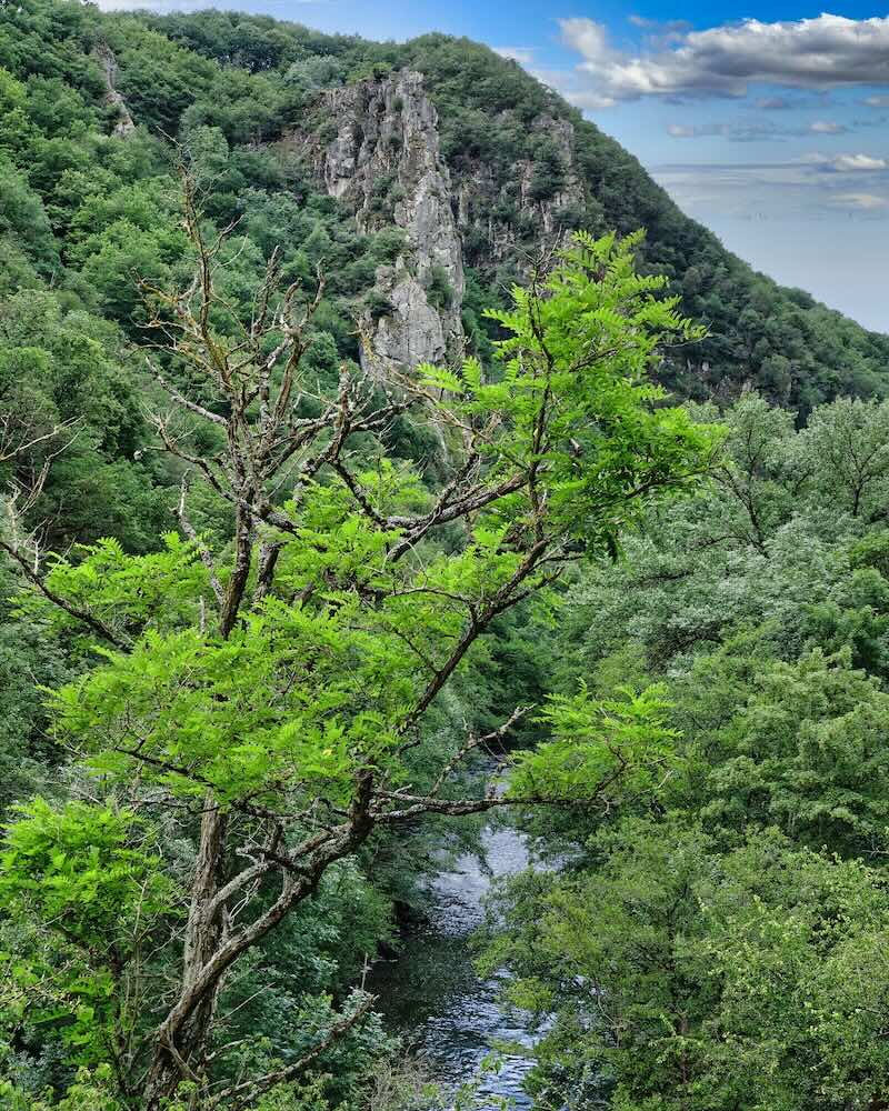 Gorges de la Sioule