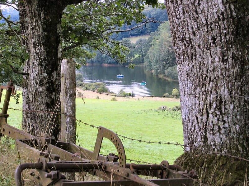 Lac de Saint-Étienne-Cantalès dans le Cantal en région Auvergne-Rhône-Alpes