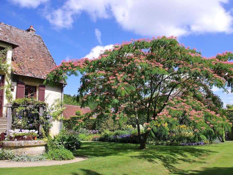 Parc floral d'Apremont-sur-Allier