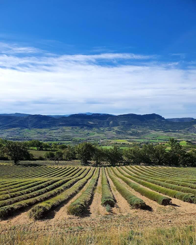 Paysage de la Drôme en Auvergne-Rhône-Alpes